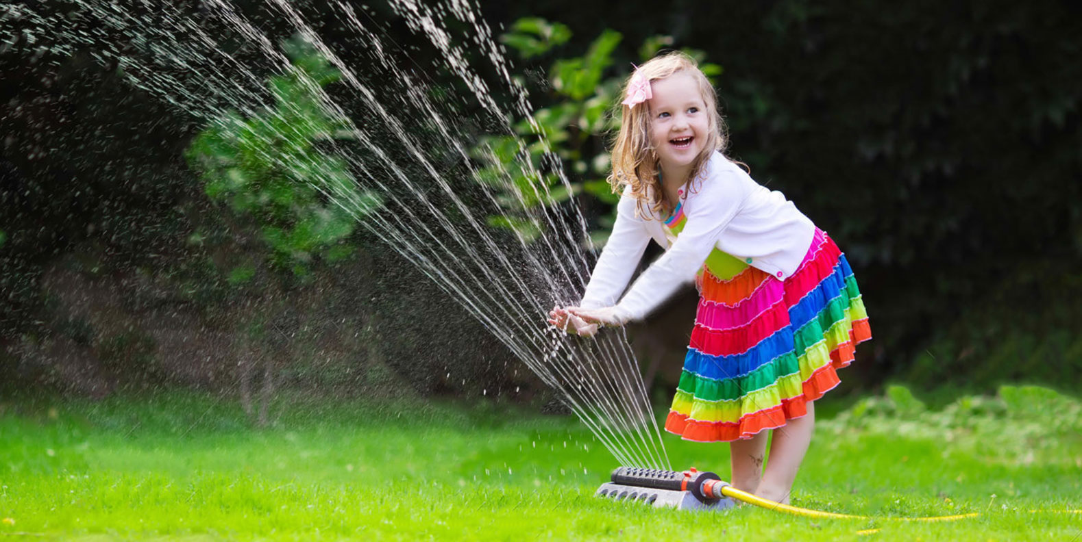Intelligent Irrigation Solutions